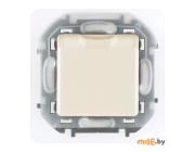 Розетка с крышкой и шторками 2P + E Legrand Inspiria (673741) слоновая кость