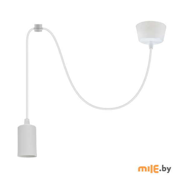 Светильник потолочный 21 Век-свет 2061/1 (белый)