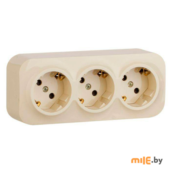 Розетка со шторками Legrand Quteo 782248 (слоновая кость)