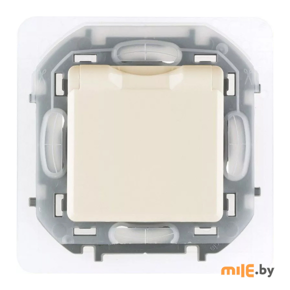 Розетка с крышкой и шторками 2P + E Legrand Inspiria (673741) слоновая кость