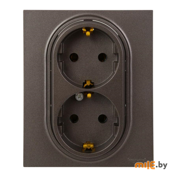 Розетка 2x2P+E Legrand Structura (764233) магнезиум