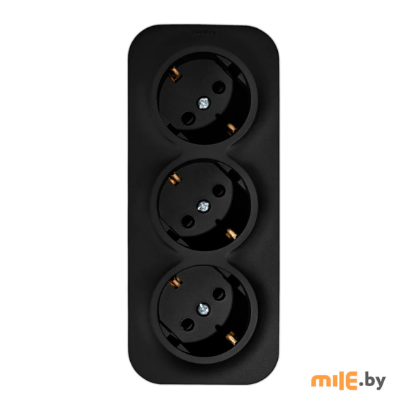 Розетка со шторками Legrand Quteo 782473 (чёрный)