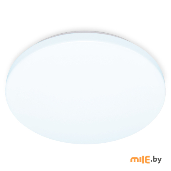 Светильник потолочный Wink FZ1010 WH