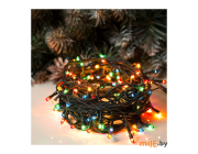 Гирлянда Luazon Lighting 670999 (5,5 м, мультиколор)