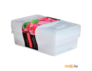 Набор ёмкостей для заморозки Plast Team 3 шт. 0,75 л