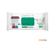 Влажные салфетки для уборки поверхностей Paddlers Easy Clean 70 шт