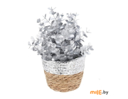 Растение заснеженное в плетеной корзинке (ANM101940) 30 см