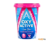Пятновыводитель для стирки Astonish Oxy Active Stain Remover 625 гр