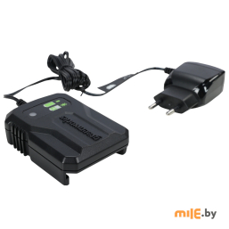 Зарядное устройство Greenworks G24UC2 (2946207)