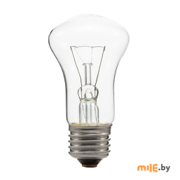 Лампа накаливания BELLIGHT Б 230-60-2 60 Вт clear