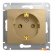 Розетка Schneider Electric Glossa (GSL000445) (титан)