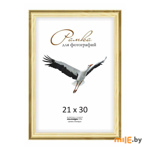 Фоторамка Палитра (Д17С) 21х30 см