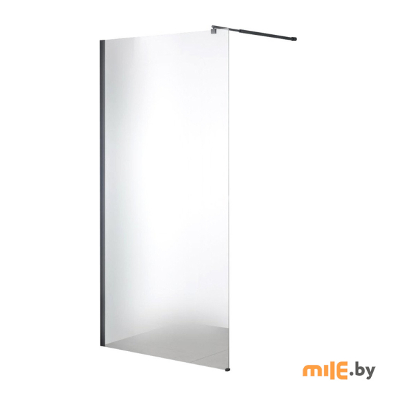 Душевая стенка Saniteco Walk-In SN-W8MB90 (90x200 см)