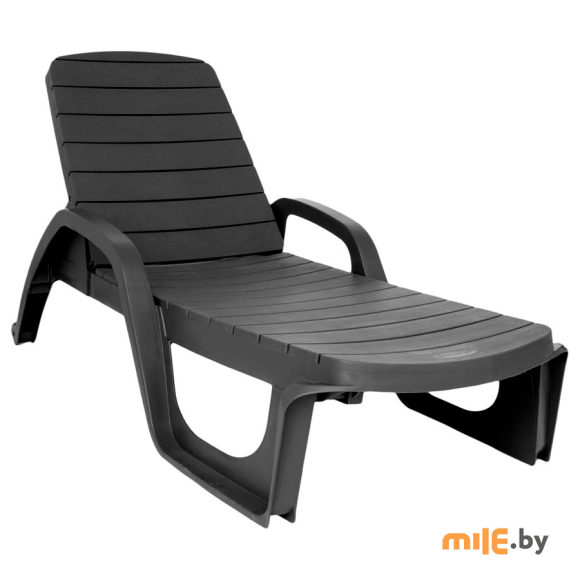 Шезлонг Ellastik Plast Прованс (антрацит)