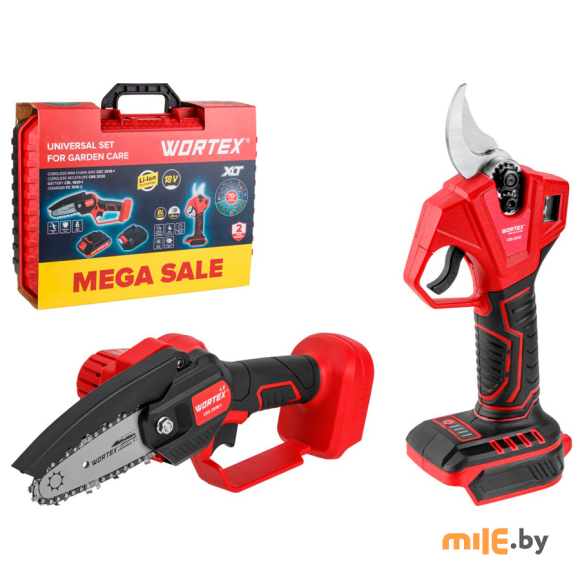 Набор аккумуляторного инструмента Wortex мини-пила + секатор в чемодане ALL1 XLT SET (1329851)