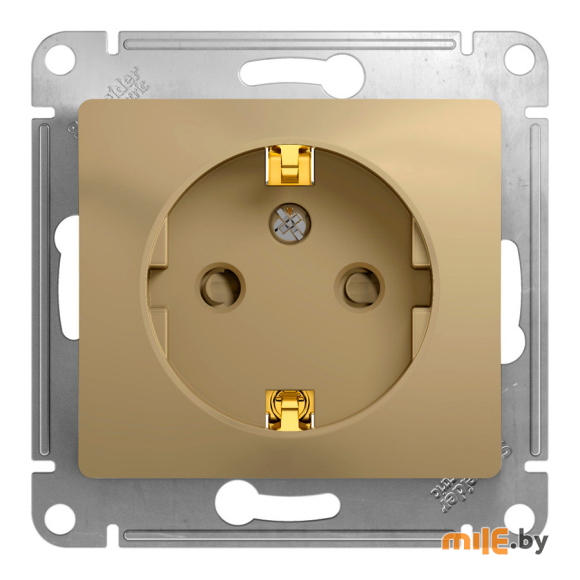 Розетка Schneider Electric Glossa (GSL000445) (титан)