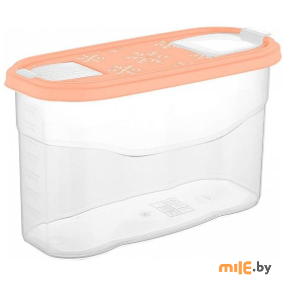 Банка для сыпучих продуктов Plast team Bergen PT1022ПК-10 (2,5 л)