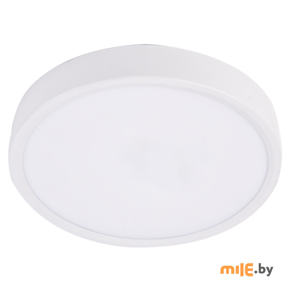 Светильник накладной Ultra eco NP 24W 4000K