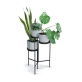 Подставка для комантных цветов Prosperplast Tol Stand IKF800