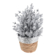 Растение заснеженное в плетеной корзинке (ANM101850) 27 см